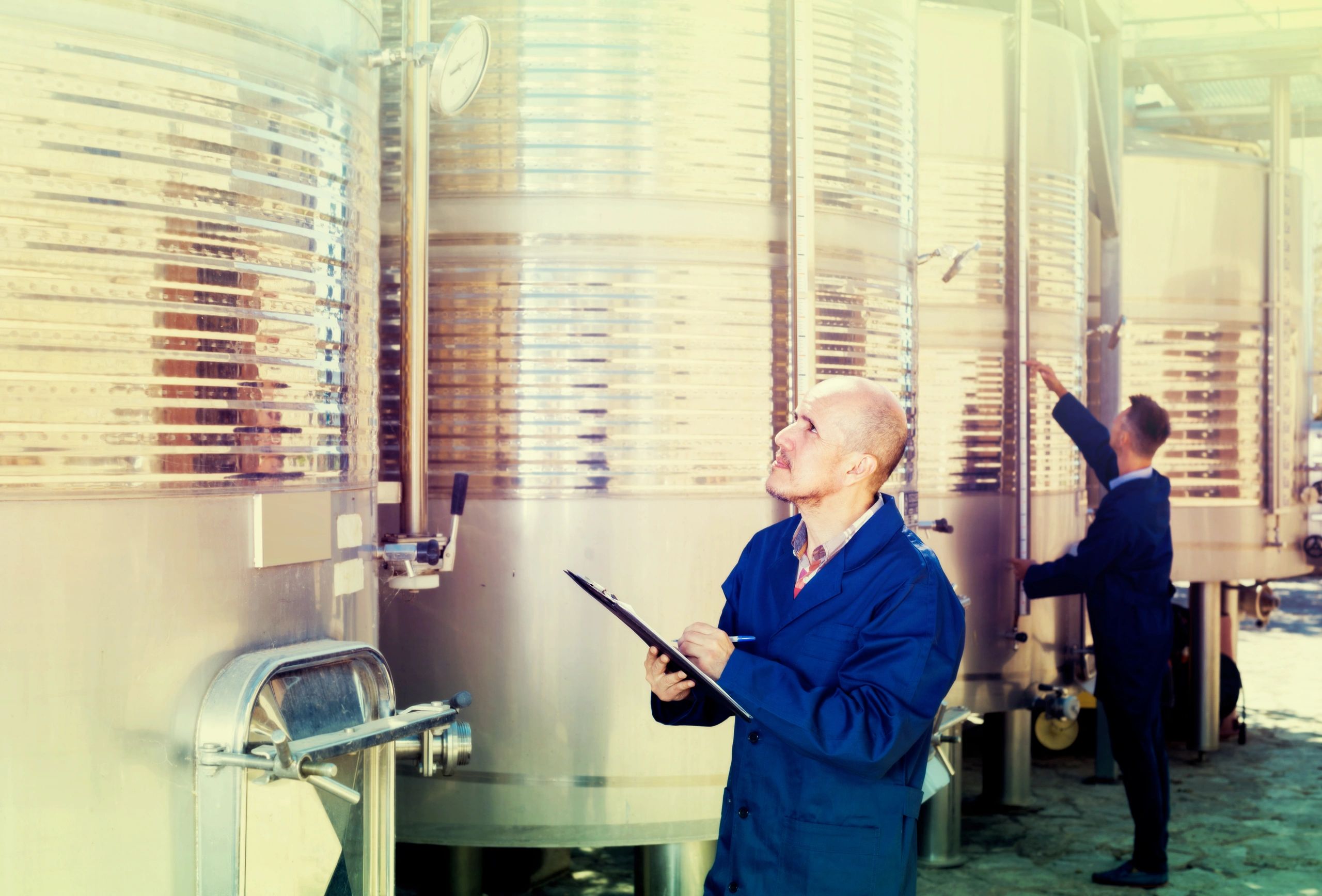 winery process improvement